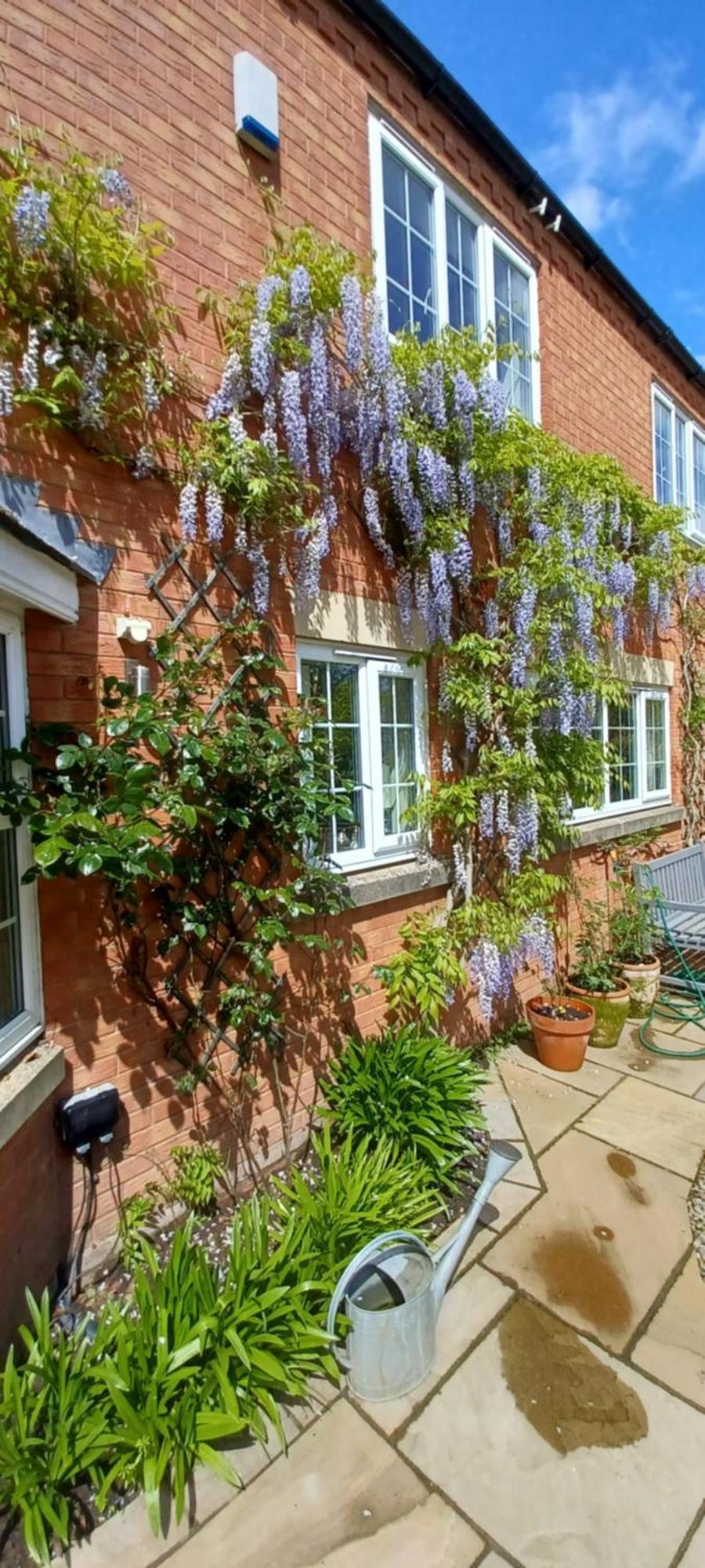 Harlequin B&B Ledbury Dış mekan fotoğraf